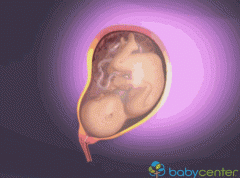 孕妇生产全过程3D图，带您全面了解分娩过程！