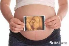 【孕妈必看】胎宝宝的十个月发育特征全在这里